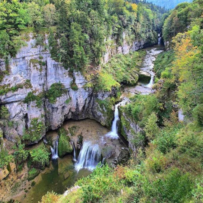 Studio Cosy Au Coeur Du Haut-Jura Foncine-le-Bas Экстерьер фото