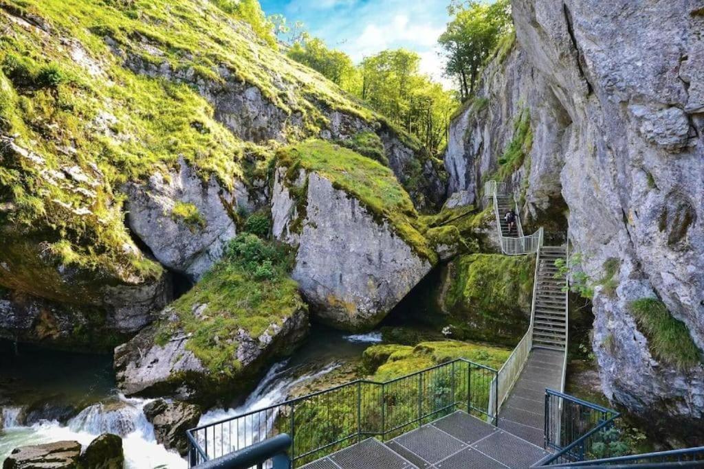 Studio Cosy Au Coeur Du Haut-Jura Foncine-le-Bas Экстерьер фото